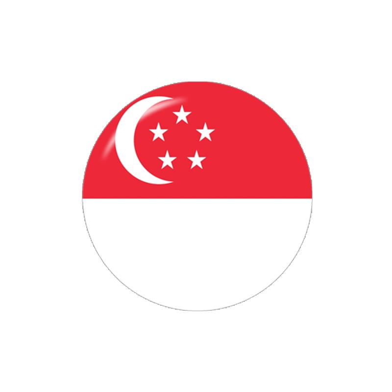 Asia Flag China Thailand Singa - огляд і ціна Jewelry Making Singapore